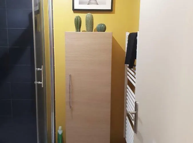 Appartement 60m2 / Hyper Centre Rijsel